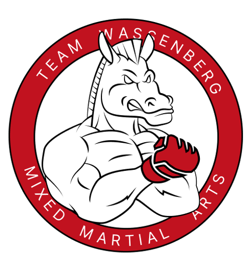 Team Wassenberg logo